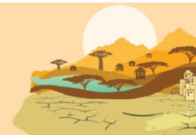 Le Fonds pour les changements climatiques en Afrique lance un projet d’entrepreneuriat pour les femmes et les jeunes